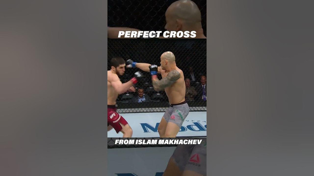 PERFECT Cross Knockout From Islam Makhachev