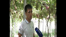 Qishloq mulkdori 17.07.20021 Umidov.mp4