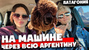 Автомобильное путешествие через всю Аргентину. Буэнос-Айрес – Патагония