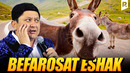 Avaz Oxun – Befarosat eshak