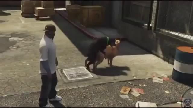 GTA 5 Геймплей – Собака Франклина Чоп (Chop) – (15)