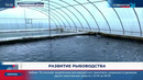 Развитие рыбоводства