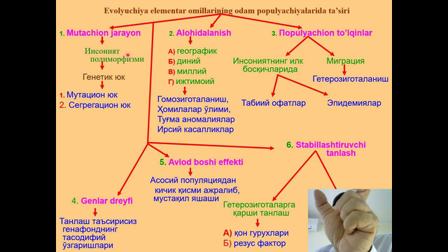 Elementar omillar