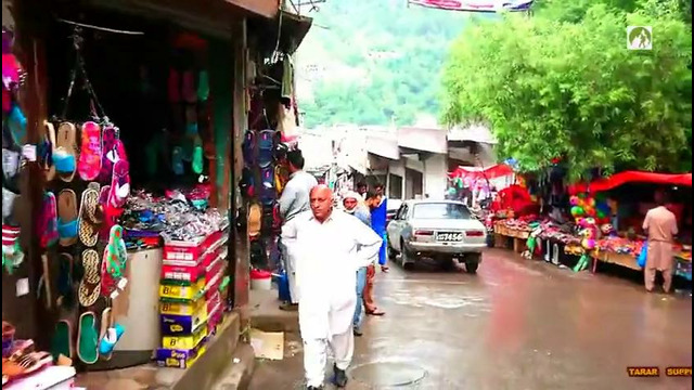 Traveling Kashmir Bagh City Tour 2019