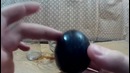 Яйцо в кока коле(что будет сним через год?)