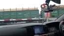 Доставка сибирского леса в Китай