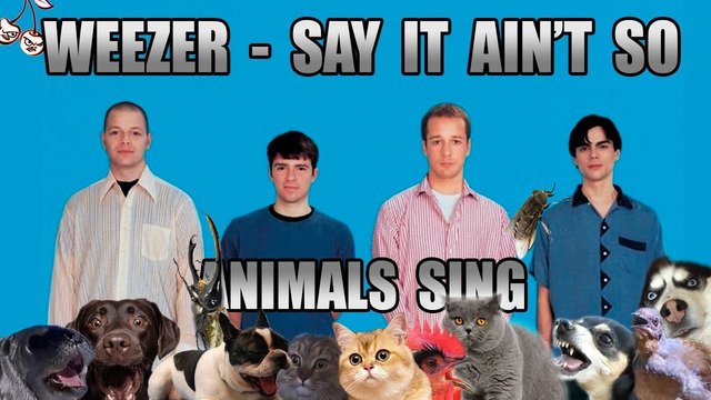 Weezer – Say It Ain’t So (Animal Cover)