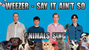Weezer – Say It Ain’t So (Animal Cover)