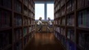 Amv