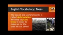 English Vocabulary Words: Trees