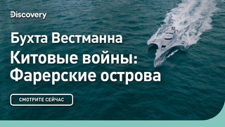 Бухта Вестманна | Китовые войны: Фарерские острова | Discovery