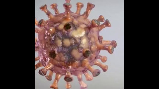 3D рендеринг коронавируса