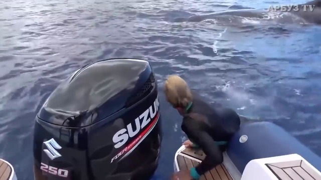 Кит закрыл девушку от акулы своим плавником