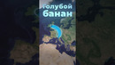 Голубой банан Европы. Что это?!#европа #германия #великобритания