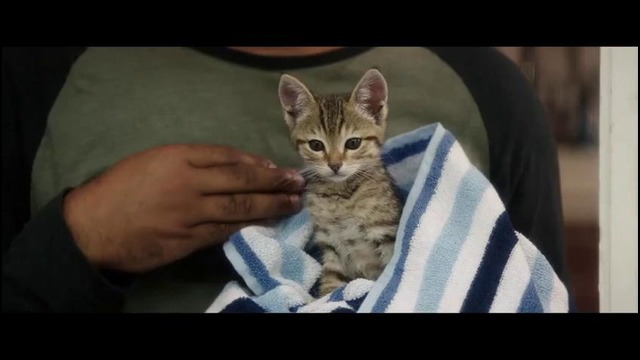 Киану – Трейлер #2 (2016)