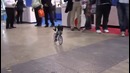 Робот на велосипеде