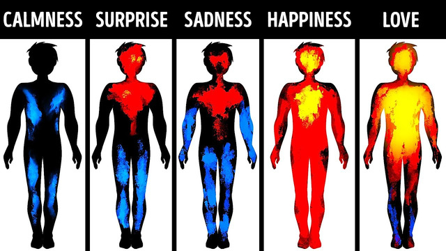 Что, если бы вы могли видеть свои эмоции (и как они влияют на наше тело)