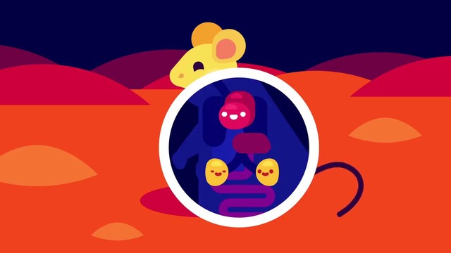 Как остановить старение в течение жизни