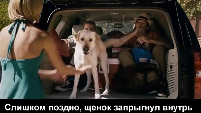 Челюсти 3D