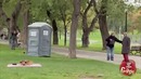 Собаки все подъели