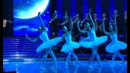 David Garrett – Swan Lake Theme 2013