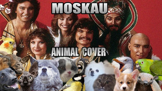 Dschinghis Khan – Moskau (Animal Cover)