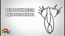 Вся правда о котах