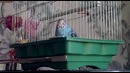 Мега мозг (часть 2)