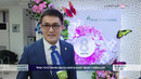 «Ipak yo`li» banki mijozlarini 8-mart bilan tabrikladi