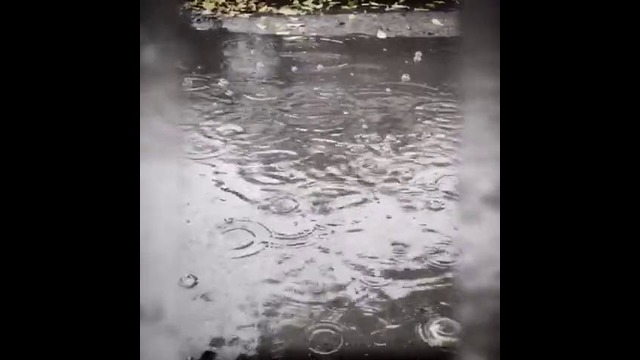 Первый снег в Ташкенте