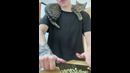 Funny animals – Funny cats / dogs – Funny animal videos 298