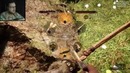 Far Cry Primal Прохождение – ПОЗИТИВНЫЙ КАРУШ #9