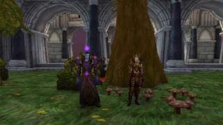 Warcraft История мира – Эльфы Бездны – кто они и как попали в Альянс Battle for Azer