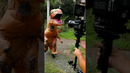 Jurassic Park on a SMALL BUDGET ? #shorts
