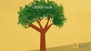 12 Episode Twelve – Carbon Cycle (IELTS Preparation-UCE.VN)