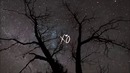 The Weeknd – Say This 2018 SUPER
