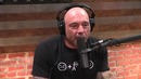 Джо Роган и астрофизик Адам Франк – есть ли жизнь на других планетах