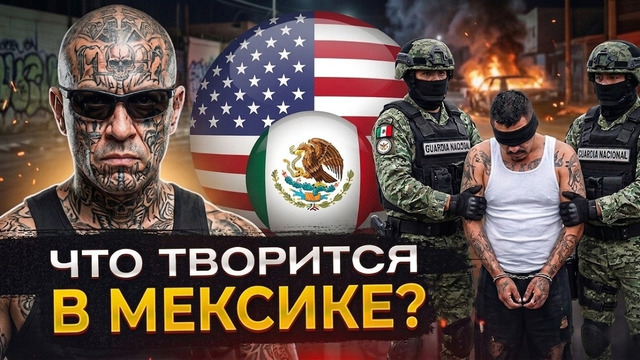 ОПГ правит страной. Почему Мексика не может справиться с картелями