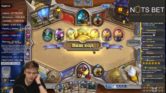 Hearthstone: Gnumme – Юбилейная потасовка #100