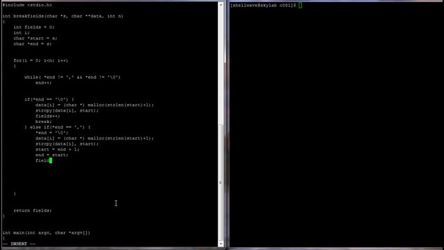 C Programming in Linux Tutorial #081 – Field extraction from one-line record of flat file database