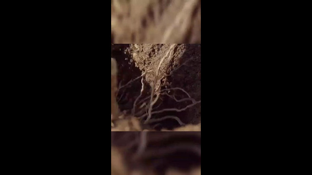 King Macarella feat. Millymallymoe – Перемены (Official Mood Video)