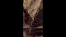 King Macarella feat. Millymallymoe – Перемены (Official Mood Video)