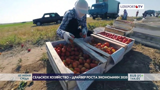 Ведущий экономист ВБ о сельском хозяйстве Узбекистана после пандемии