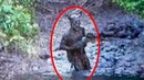 Загадочные сверхъестественные существа, снятые на видео