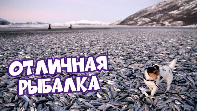 (BugagaTV) Приколы и Фейлы 2018 Май (Part 4)