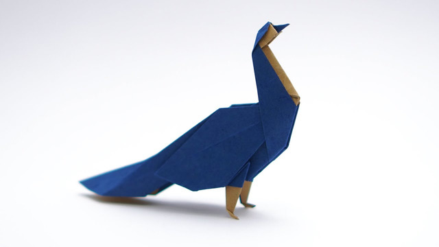 Origami peacock (jo nakashima)