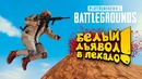 Shimoro – Белый Дьявол В Пекадо! Battlegrounds