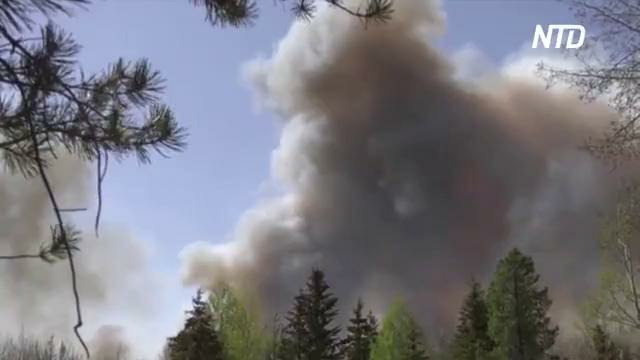 95 000 гектаров земли выжгло за два дня в провинции Альберта в Канаде