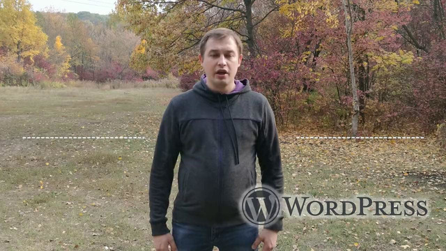 Антон Кадничанский – Wordpress