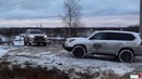 Black & White Team. Дикий заезд двух Lexus LX570